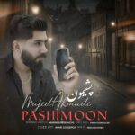 آهنگ غمگین مازندرانی ساکتو سرد بوی با صدای مجید احمدی