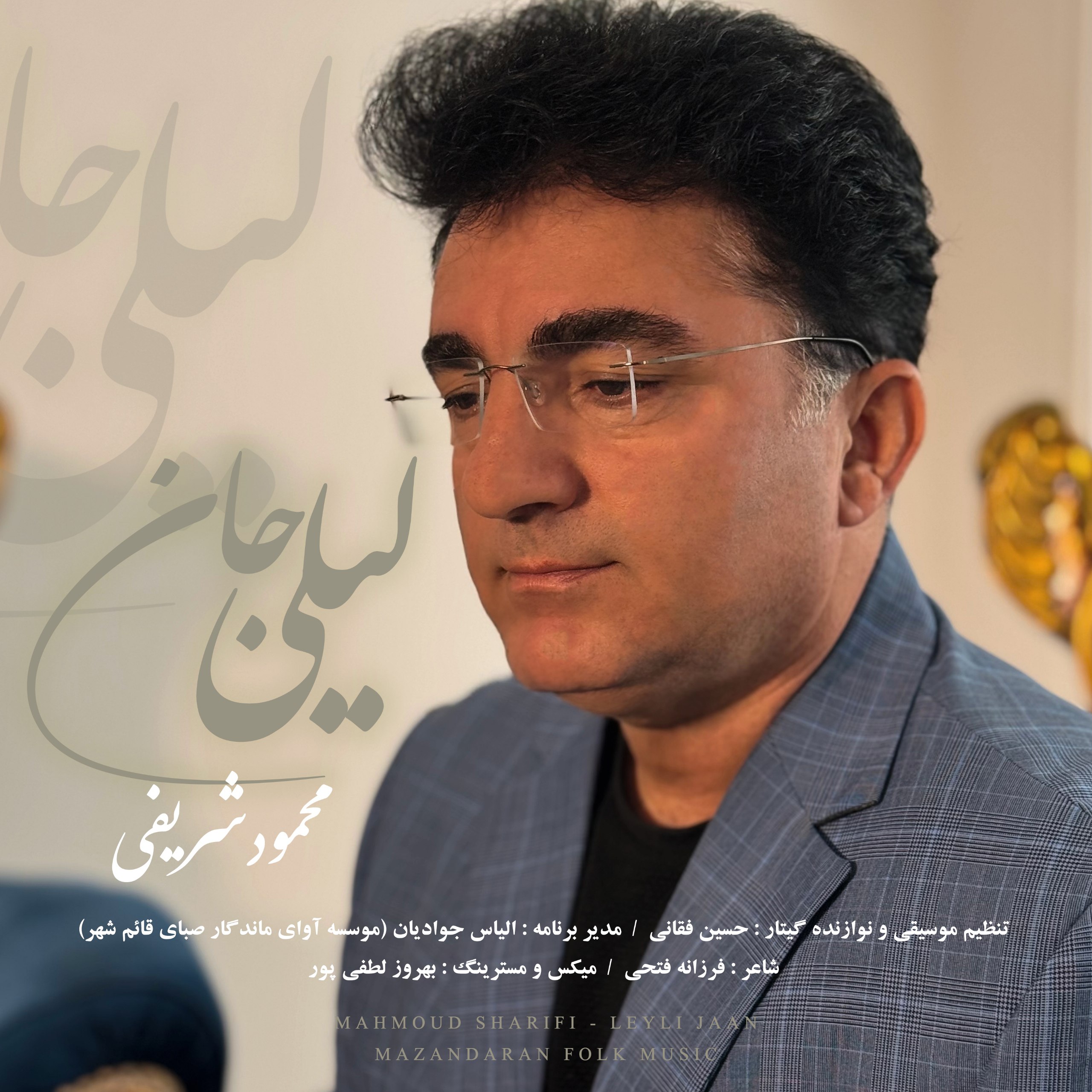 دانلود آهنگ  زادگاه با صدای مجید اصلاحی