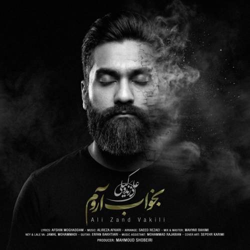 دانلود آهنگ  بخواب آروم با صدای علی زندوکیلی