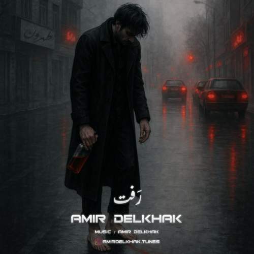 دانلود آهنگ  رفت با صدای امیر دل خاک