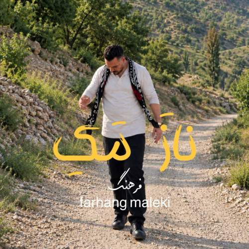 دانلود آهنگ ناز مک با صدای فرهنگ ملکی